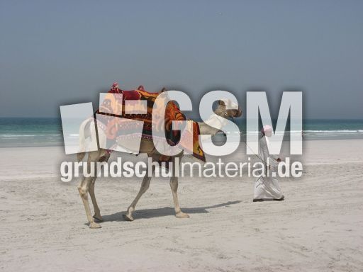 379 Kamelreiten für Kinder.JPG